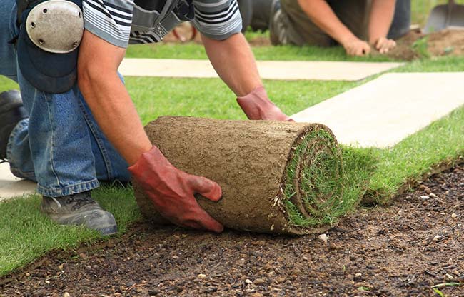 Tips For Hiring Professional Landscapers