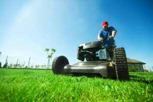 mowing grass lawn care service